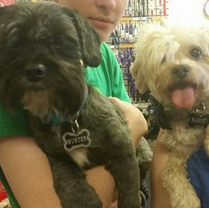 Meet your Posher, Sarai